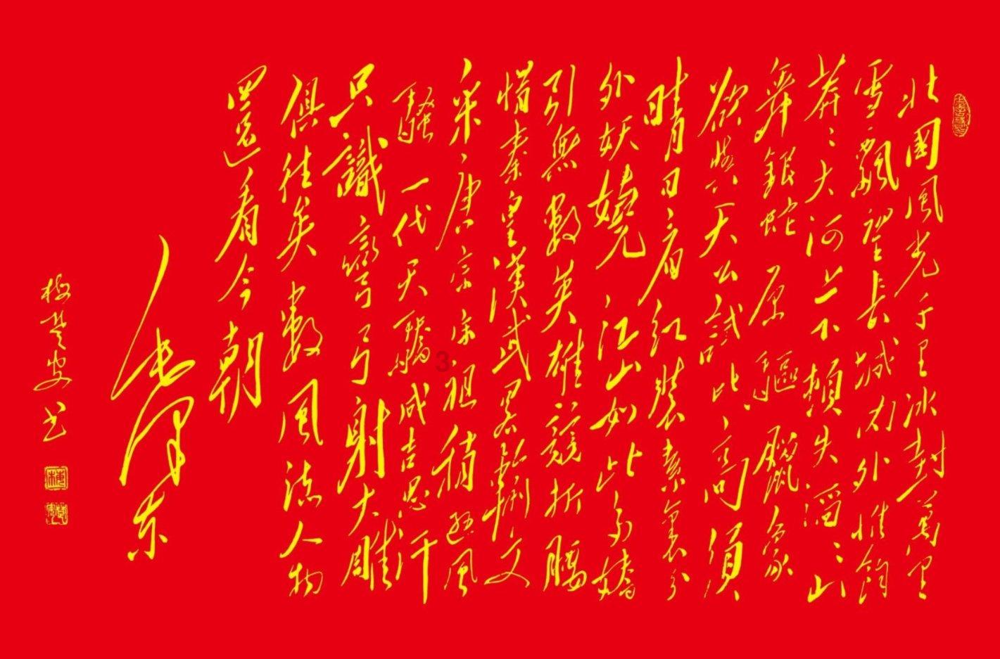 狂野的飙客
